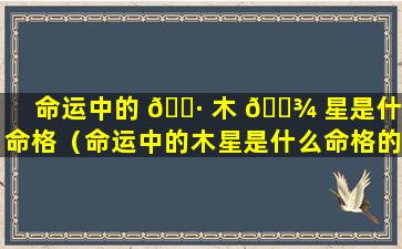 命运中的 🌷 木 🌾 星是什么命格（命运中的木星是什么命格的人）